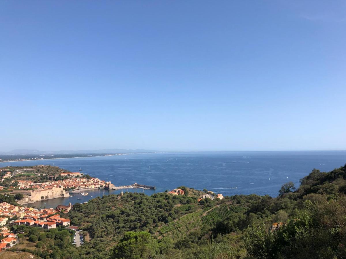 Apartment Les Pieds Dans L'eau Collioure